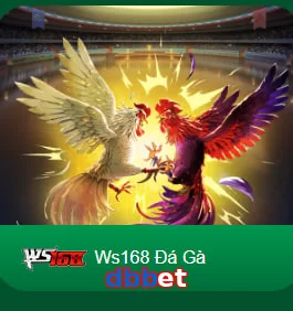 dbbet